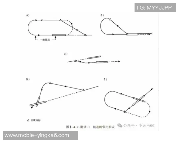 实时新闻科学飞盘比赛经验与训练方法全面解析与实用技巧分享